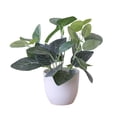 thumbnail image 2 of Happy Date Faux Plants Indoor, Artificial Plants for Home Decor Indoor, Small Fake Plants - Fake Plants Decor and Decorative Plants, Fake Plant and Artificial Plant - White Pot, 2 of 3