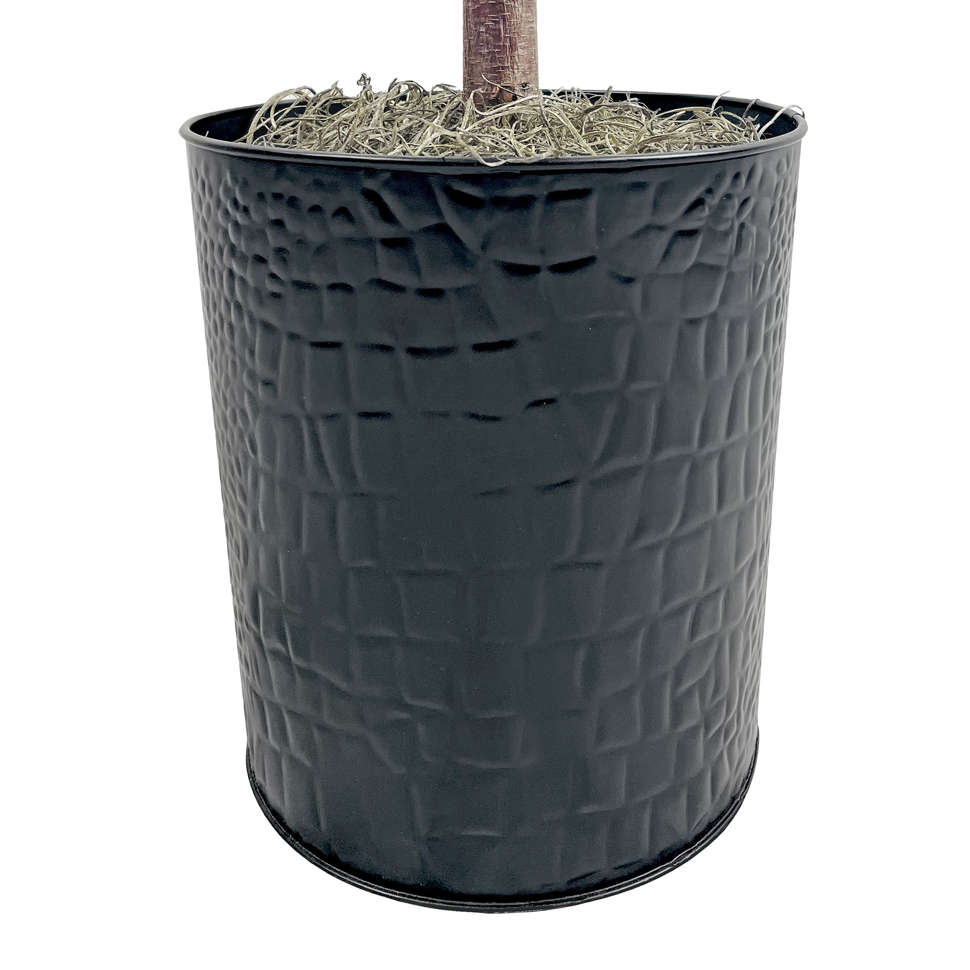 Mainstays Artificial Tree, Ficus Tree, 6 ft, Black Embossed Metal Planter