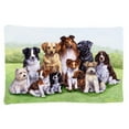 thumbnail image 1 of Carolines Treasures BDBA316BPILLOWCASE Springtime Dogs Fabric Standard Pillowcase, 1 of 2