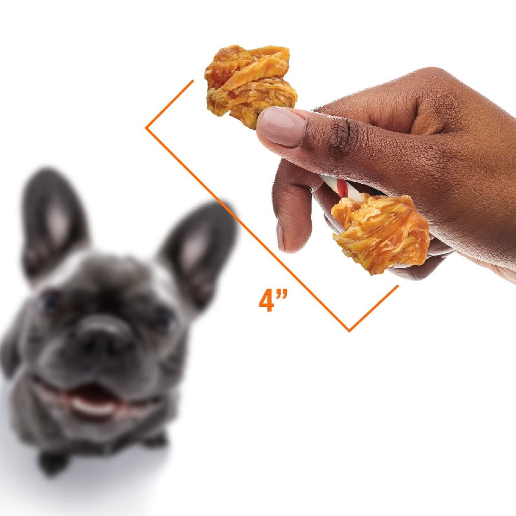 Good 'n' Fun Triple Flavor Double Pops with Chicken, Rawhide Chews for All Dogs, 5.5 oz.