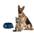 thumbnail image 3 of Plato Para Gato / Perro Smarty Extra Chico Azul Moderna Smarty, 3 of 3