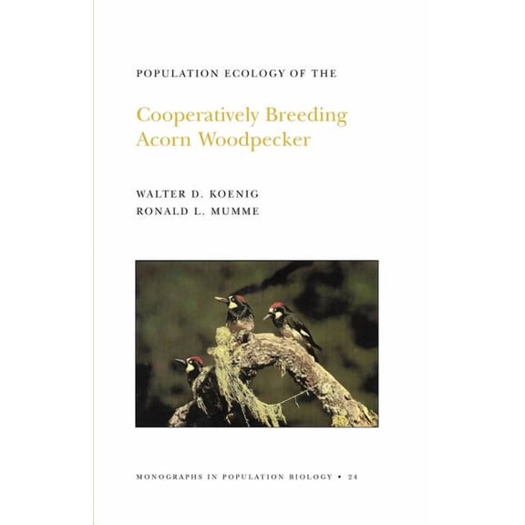 Monographs in Population Biology Population Ecology of the Cooperatively Breeding Acorn Woodpecker, Book 24, (Paperback)