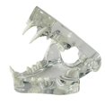 thumbnail image 1 of Transparent Teeth Anatomical Model Dental Animals Oral Tooth Jaw for Veterinary Educational Tool (C, 1 of 5
