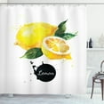 thumbnail image 1 of Ambesonne Fruit Shower Curtain, Sour Citrus Lemon Design, 69"Wx75"L, Green Yellow and Black, 1 of 3