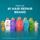 thumbnail image 3 of OGX Argan Oil Of Morocco Set, Shampoo &amp; Conditioner, 13 Ounces, 3 of 7