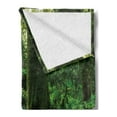 thumbnail image 2 of Forest Soft Flannel Fleece Throw Blanket, Rain Woodland Scenery River in the North Forest in the Early Morning Humid Fog Print, Cozy Plush for Indoor and Outdoor Use, 50" x 60", Green, by Ambesonne, 2 of 5