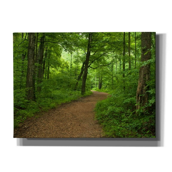 Epic Graffiti 'Summer Walk' by David Hammond, Giclee Canvas Wall Art, 54"x40"