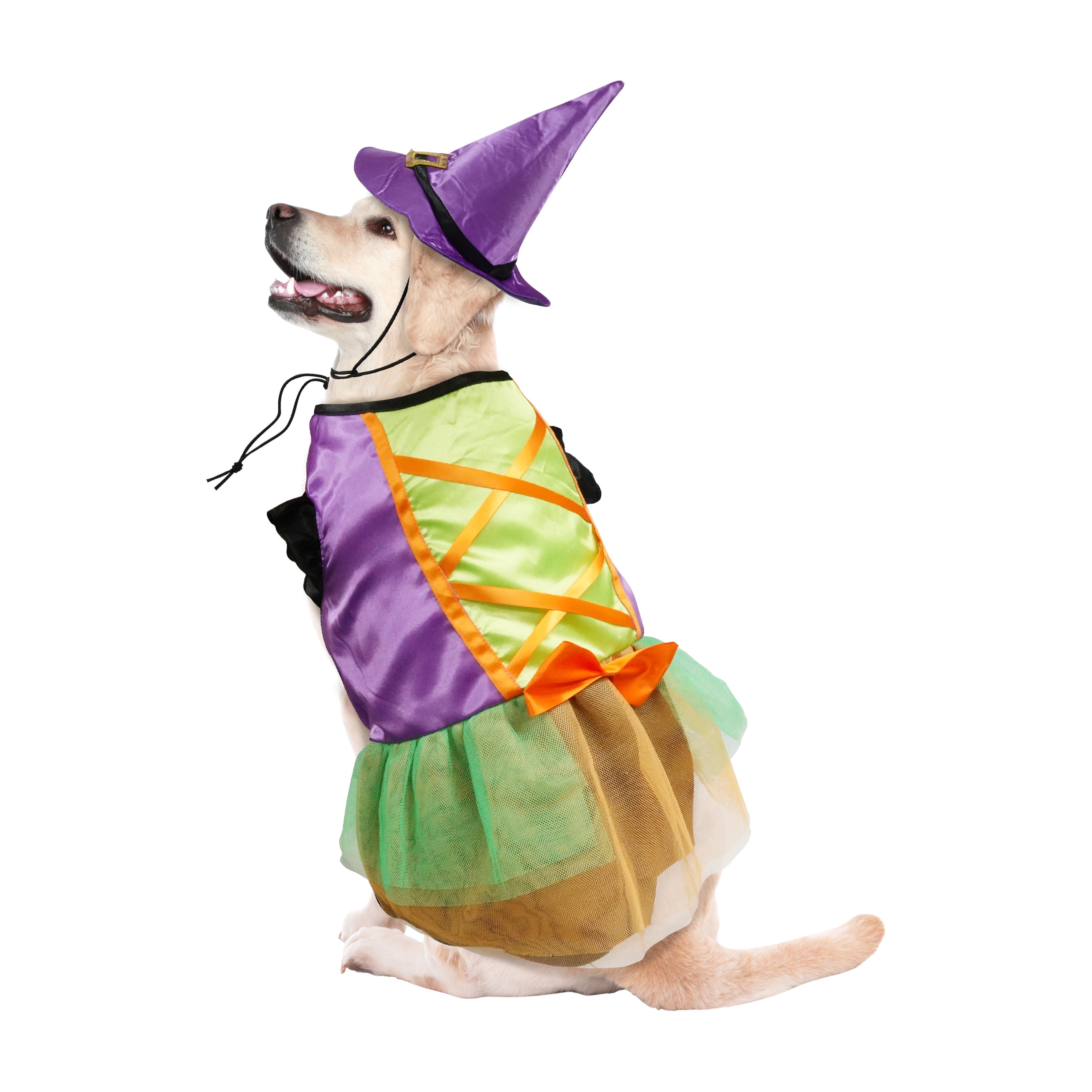 Best Furry Friends Dress for Dogs or Cats, Witch, Large