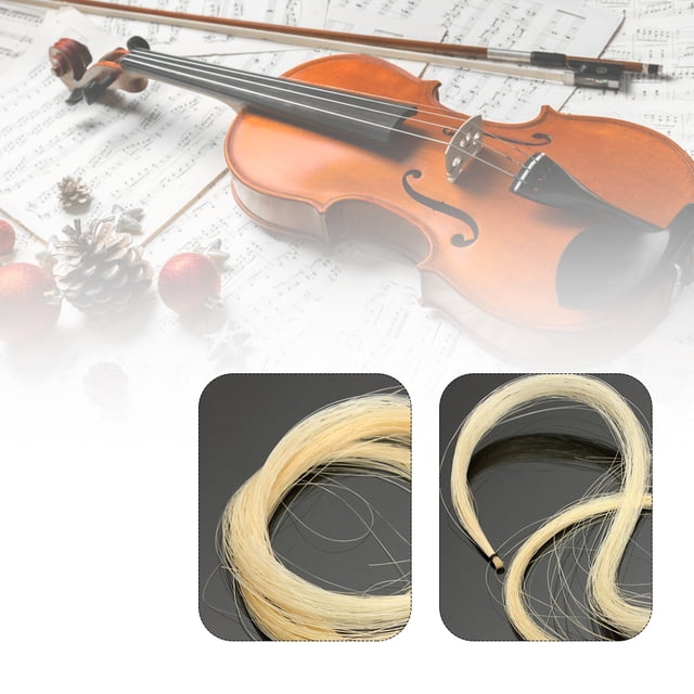 Pour Cheveux d'Arc de Violon Professionnel en Queue de Prêle Adapté pour Alto Violoncelle et Basse