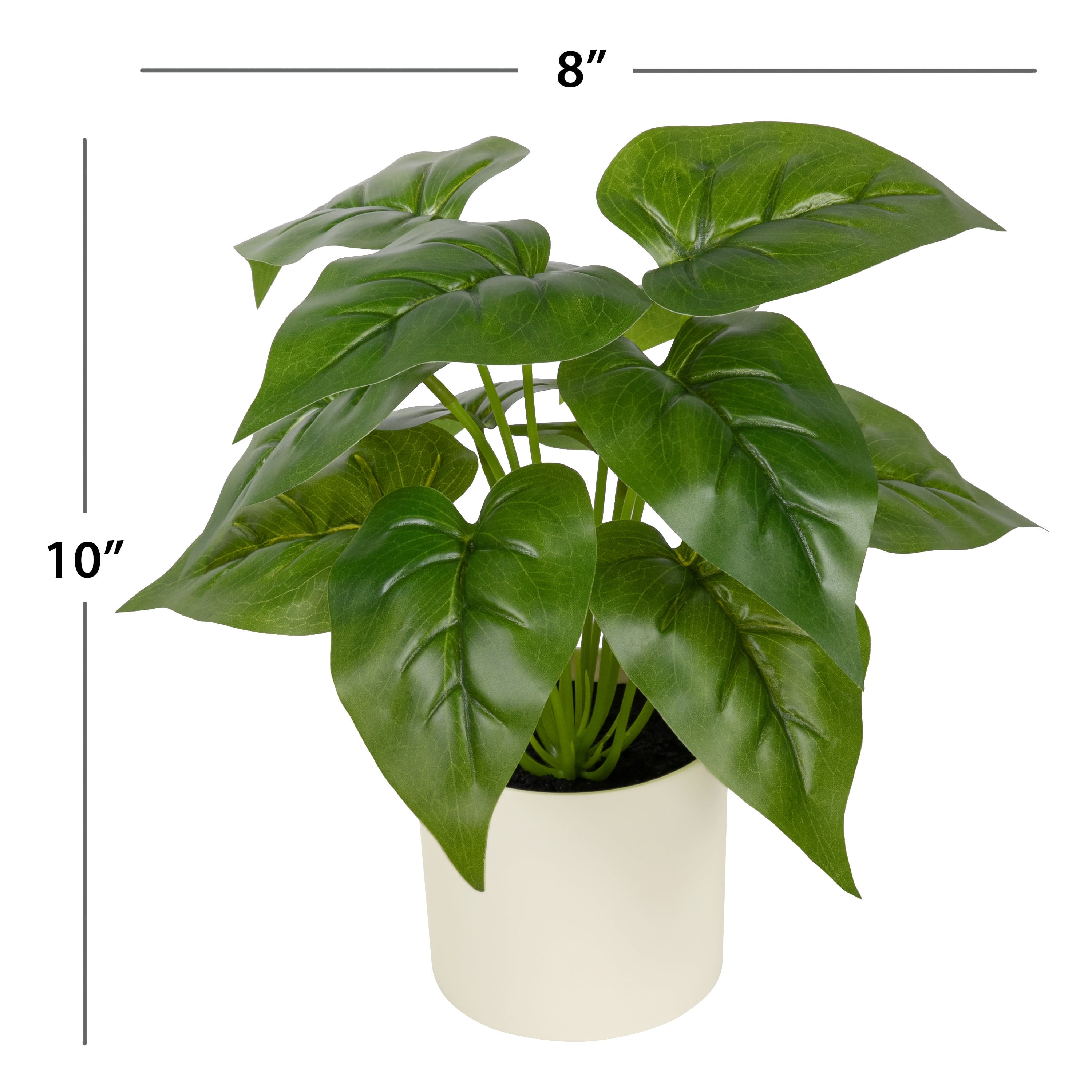 (3 pack) 10-inch x 4-inch Artificial Philodendron Leaf Plant in White Pot, Green, for Indoor Use, by Mainstays