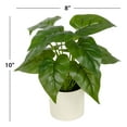 thumbnail image 4 of 10-inch x 4-inch Artificial Philodendron Leaf Plant in White Pot, Green, for Indoor Use, by Mainstays, 4 of 9