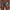 Leaf Pattern, variant on RELLECIGA Women's Swimsuit Strappy Bikini Swim Bottom Full Coverage Swimwear Bathing Suits