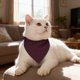 thumbnail image 5 of Toalla-pañuelo-babero triangular para mascotas, alta absorbencia, lavable a máquina, para gatos y perros pequeños, medianos y grandes, a la hora de comer, 5 of 5