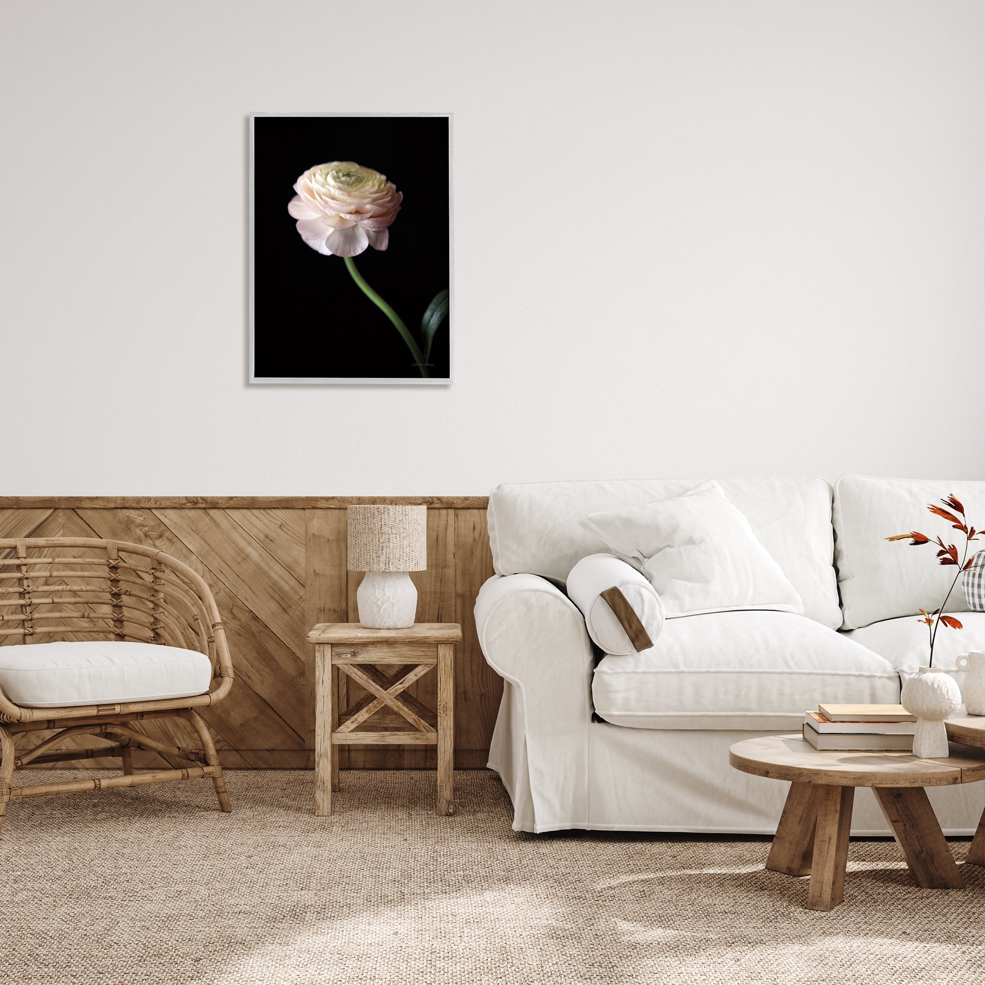 Stupell Industries Ranunculus on Black Botanical & Floral Photography Gray Framed Art Print Wall Art, 24 x 30