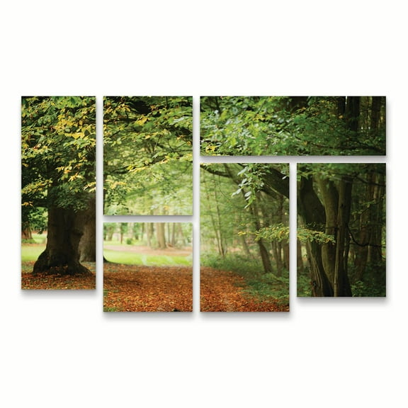 Trademark Fine Art 'Through the Woods' Canvas Art by Philippe Sainte-Laudy