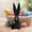 #0480-Black, variant on Linnome Easter Bunny Figurine Egg Holding Bubble Blowing Themed Ornament for Home Tabletop Spring Holiday Decoration Display