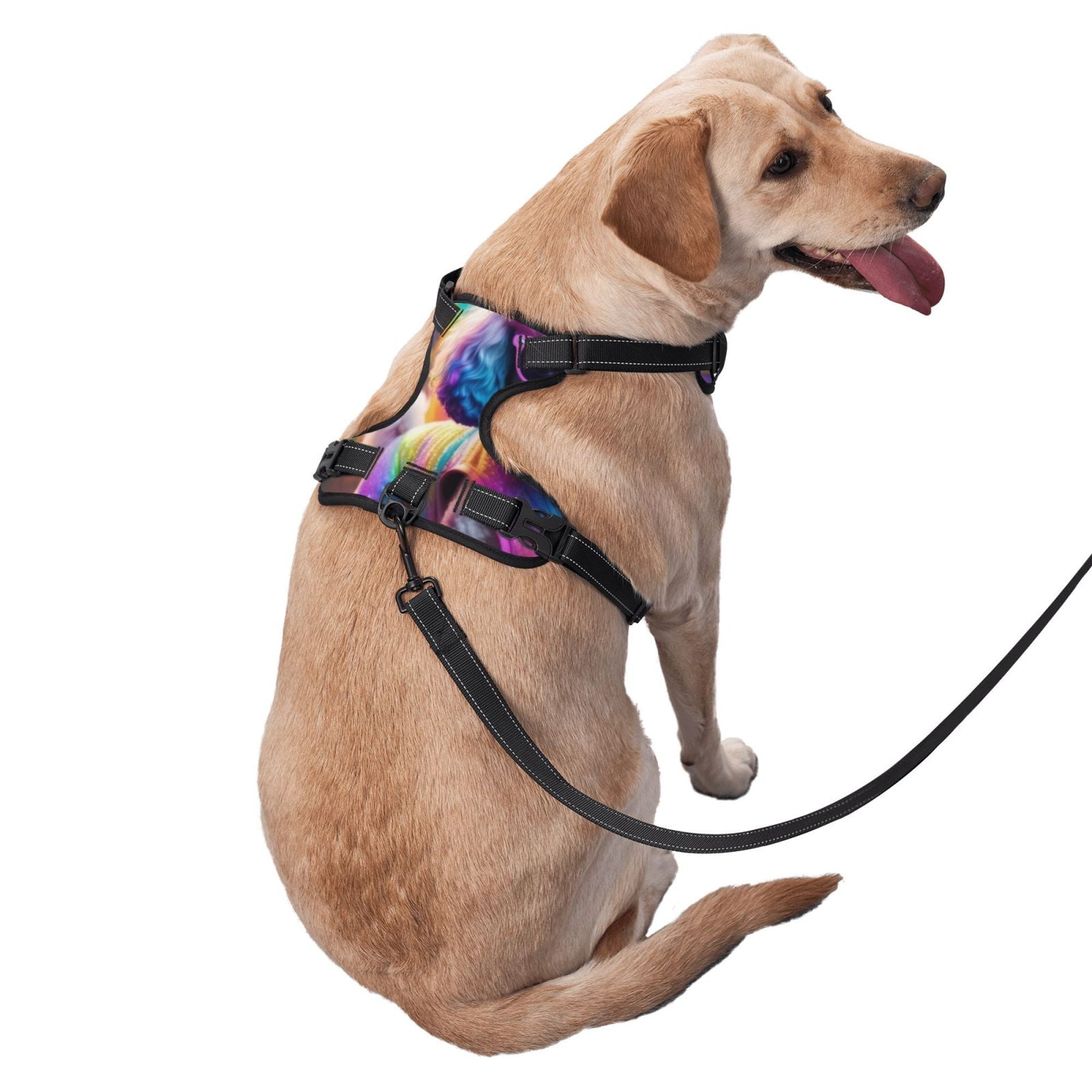 Vsdgher Rainbow Poodle Urban Street Dog Harness, No-Pull Pet Harness, Dog Vest, Pet Vest for Small to Large Dogs-Small