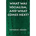 thumbnail image 1 of Pre-Owned What Was Socialism, and What Comes Next? (Paperback) 069101132X 9780691011325, 1 of 1