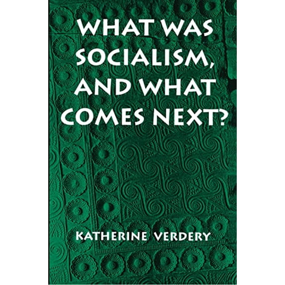 Pre-Owned What Was Socialism, and What Comes Next? (Paperback) 069101132X 9780691011325