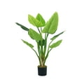 thumbnail image 1 of 54"H Artificial Real Touch Philodendron Erubescens Green Emerald, 1 of 4