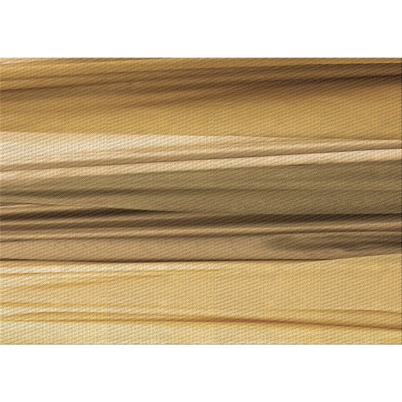 Ahgly Company Indoor Rectangle Patterned Cantaloupe Orange Area Rugs, 2' x 5'