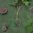 thumbnail image 4 of Caja de raíces de plantas Bola de propagación Caja de raíces de plantas de jardín Dispositivo de injerto asistido Cortador de raíces botánico y controlador de raíces, verde (12 piezas), Ver, 4 of 5