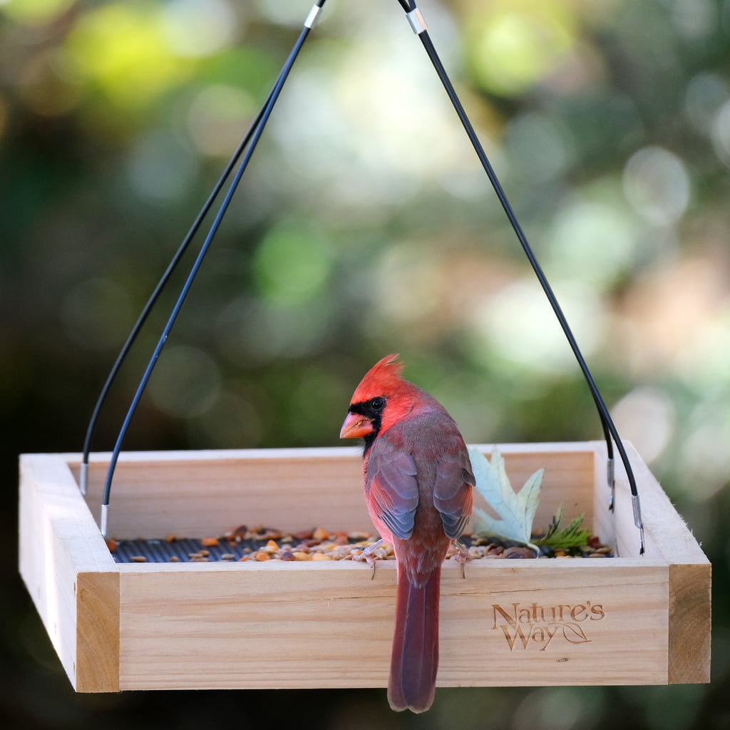 Nature's Way Cedar Platform Tray Bird Feeder 2QT, Brown