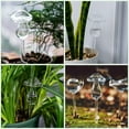 thumbnail image 6 of JingChun 2 Pcs Plant Watering Globes Large Mushroom Shaped Iridescent Self Watering Globes Clear Glass Planter Insert Devices for Indoor Outdoor Plant Lovers, 6 of 9