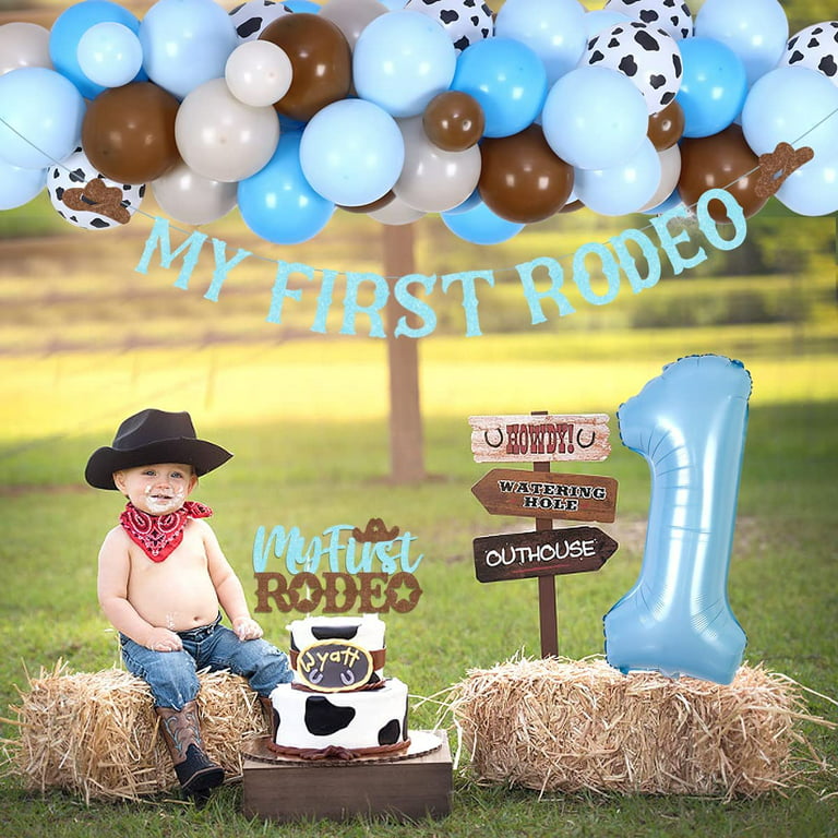 Boy's 1st birthday party decoration Theme, wild west, cowboy