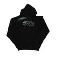 thumbnail image 1 of Fantastic Beasts Mens Text Logo Hoodie, 1 of 5