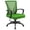 Green, variant on Lacoo Mid-Back Office Desk Chair Ergonomic Mesh Task Chair with Lumbar Support, Black