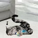 thumbnail image 2 of Methold Juguete interactivo para gatos con sonido de pájaro simulado, cuerdas de tela duraderas para provocar juguetes interactivos para gatos Juguetes para gatos Tipo 3, 2 of 6