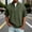 #423-Army Green, variant on Mens Short Sleeve Jacket Solid Color Stand Collar Zip Up Washed Distressed Look Breathable Soft for Outdoor Daily Home Party Gift