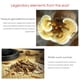 thumbnail image 5 of Crema Facial Ganoderma Lucidum Ormromra, 5 of 8