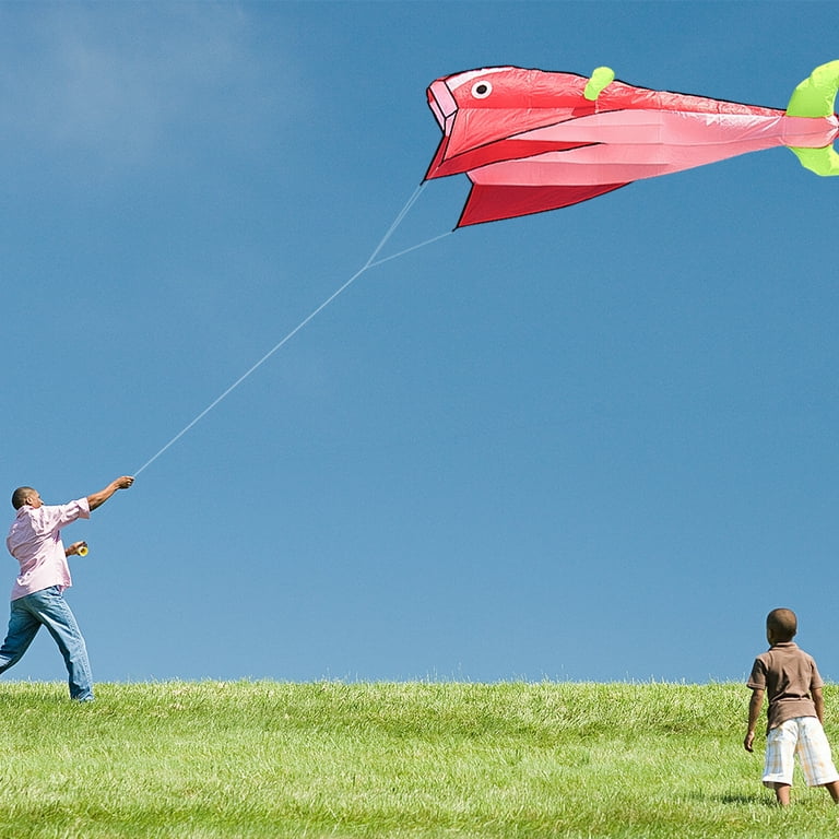 Kepooman 3D Large Frameless Soft Parafoil Dolphin Kite for Kids Teens, Not  Included Line, 78.74 * 43.31, Red 