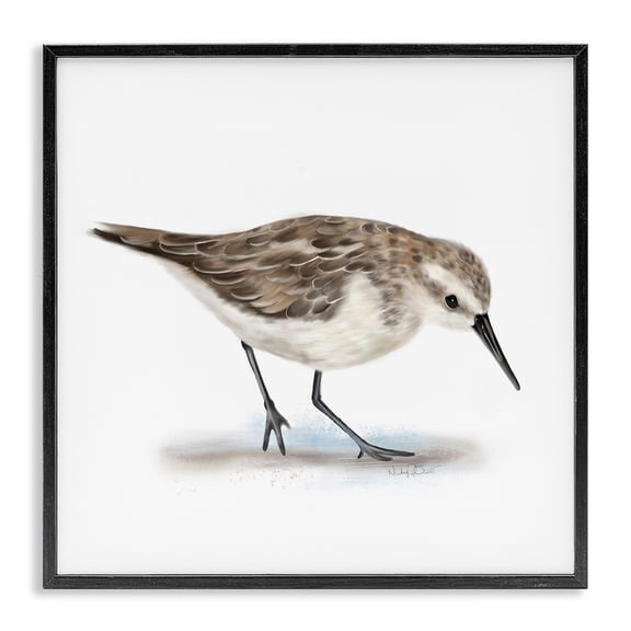 Stupell Industries Traditional Charming Sandpiper on Soft Sand Brown Nautical Bird Black Framed Giclee Art, 17 x 17, by Studio Q