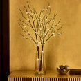 thumbnail image 1 of Cronómetro Branch Lights Fudios con pilas LED, 32 cm, color marrón, 100 LED, 1 of 9