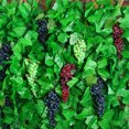 thumbnail image 4 of Farfi 1 Bunch Fake Grape Artificial Plastic Lifelike Faux Fruit Home Garden Wall Decor (Purple), 4 of 13