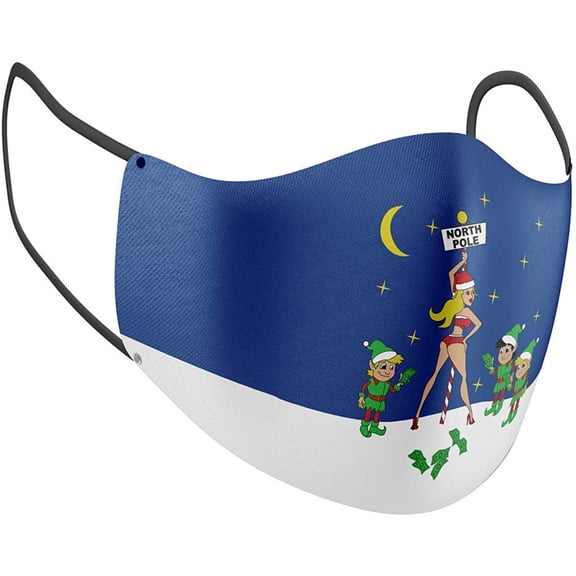 Christmas Face Mask Double Layer Reusable Cloth Holiday Season Masks