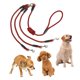 thumbnail image 3 of Cuerda para correa de perro, duradera, resistente, sin , cuerda de nailon para , entrenar, grande Yuyangstore Cuerda de correa, 3 of 8