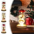 thumbnail image 6 of RBCKVXZ Preserved Rose Teddy Bear Night Light - 6" Glass Dome LED Lamp with Wood Base, Battery Operated Gift for Valentine's Day/Birthday/Anniversary, 6 of 9