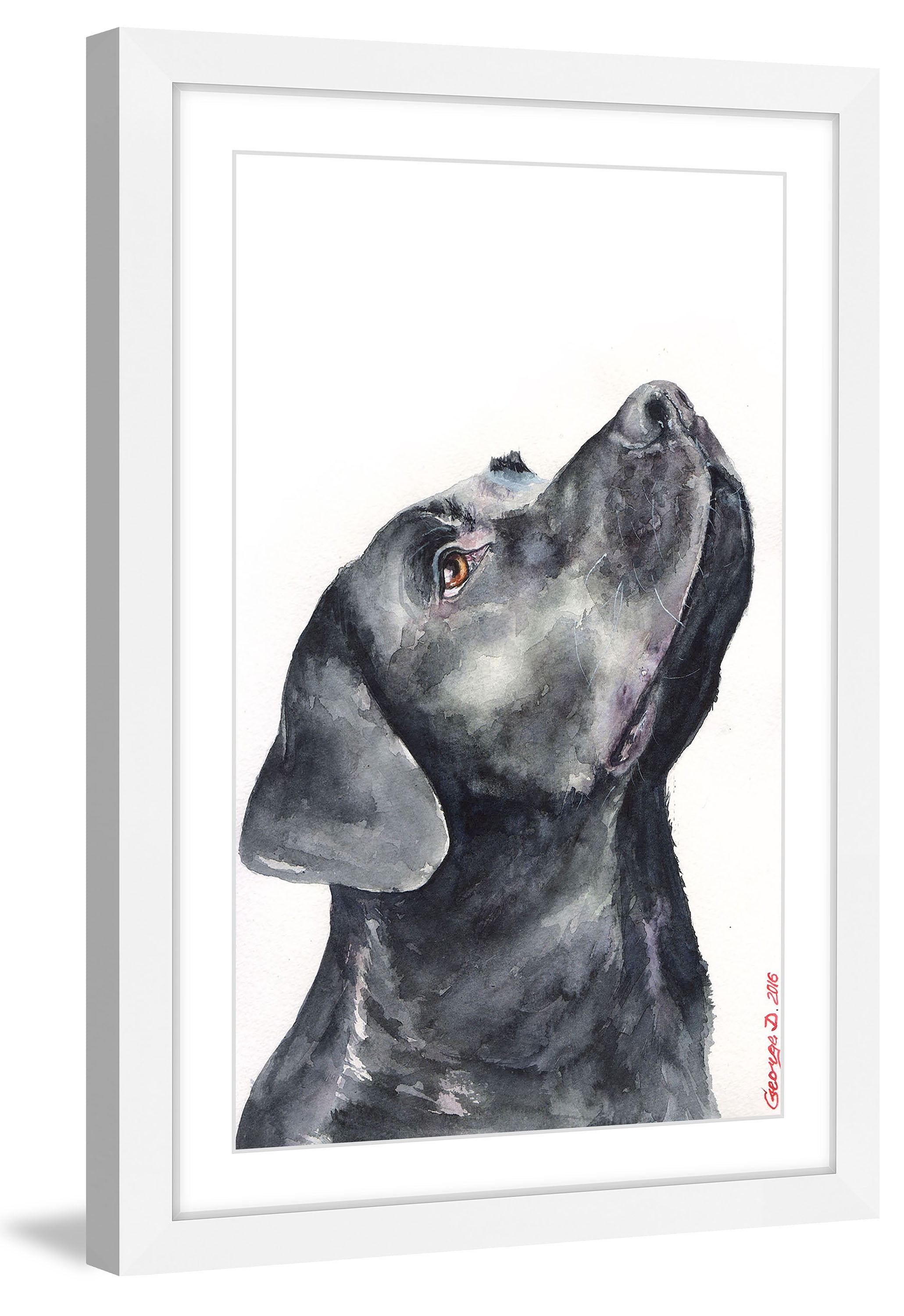 "Black Labrador" Framed Painting Print