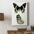 thumbnail image 5 of Antique Blue Butterflies I Premium Gallery Wrapped Canvas - Ready to Hang, 5 of 9