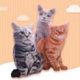 thumbnail image 4 of EeaseCA 1PC Simulated Cat 3D Stereo Throw Pillow Plush Toy Cushion Stuffed Toy (Tiger Grain), 4 of 5