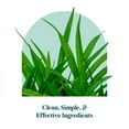 thumbnail image 5 of Pattern Wellness Sea Moss Complex with Burdock, Bladderwrack, Vitamin C & Ginger, 30 Count, 5 of 6