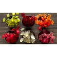 thumbnail image 5 of Black Forest Organic Gummy Bears Candy, 0.8 Ounce Pouches, 65 Count, 5 of 7