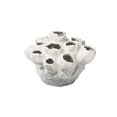 thumbnail image 3 of Bellvara Ceramic Cluster Organic Vase, 3 of 3