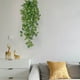 thumbnail image 5 of Tapices de pared verde artificial realista para decoración interior - Planta de hiedra plástica 3D con tallos flexibles para casa, apartamento u oficina, 5 of 8