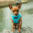thumbnail image 1 of Arnés de Malla Suave para Perros/Gatos PupTrek de Mr. Peanut, 1 of 3