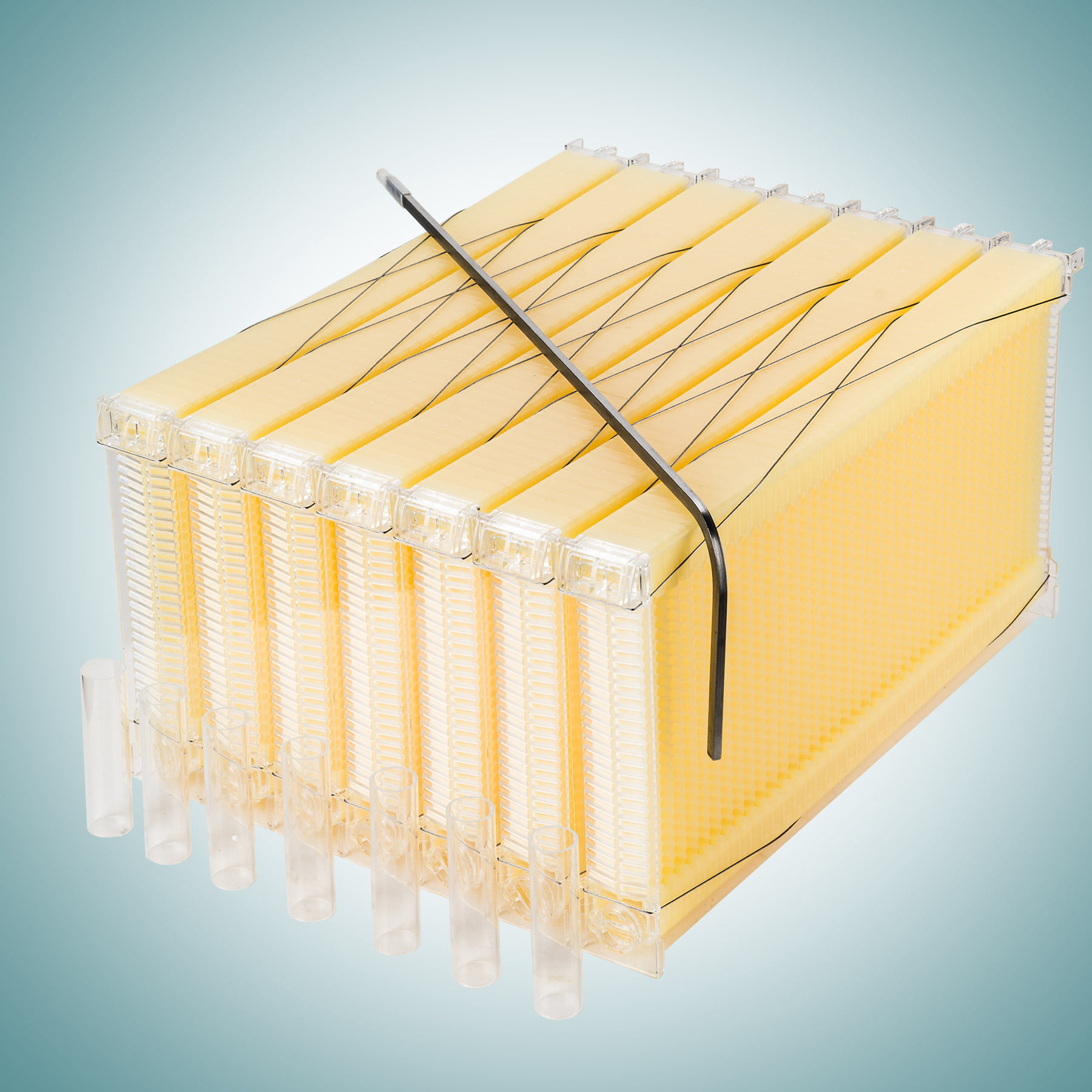 Honey Frame Plastic Beekeeping Harvesting Tubes Kit Comb Beehive Frame US STOCK 
